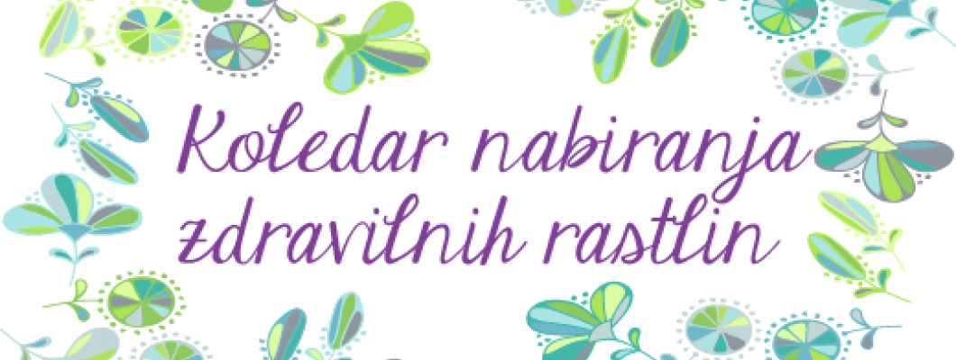 Koledar nabiranja zdravilnih rastlin - marec
