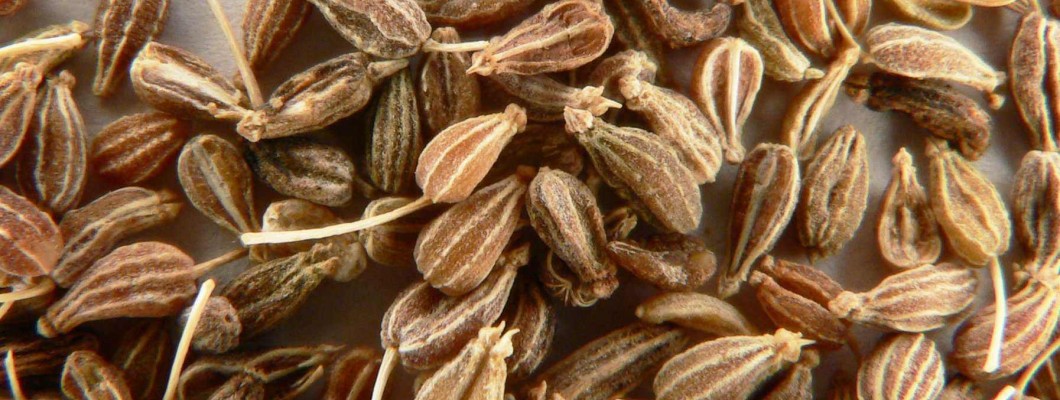 Sladkasta aroma janeža skrbi za dober okus in vaše zdravje